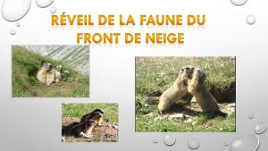 B&B / Chambres d'hotes Les Blanches Provencales : photos des chambres