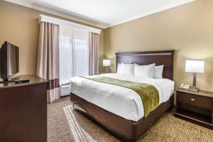 King Suite - Non-Smoking room in Comfort Suites Houston IAH Airport - Beltway 8