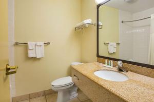 King Room - Non-Smoking room in Quality Inn and Suites NRG Park - Medical Center