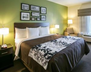 King Room - Non-Smoking room in Sleep Inn and Suites Round Rock - Austin North