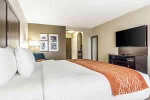 Comfort Inn Dallas Park Central - image 1