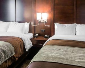 Queen Suite with Two Queen Beds - Non-Smoking room in Comfort Inn & Suites Pharr/McAllen