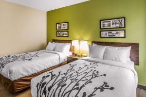 Double Room with Two Double Beds - Accessible/Non-Smoking room in Sleep Inn Dallas Love Field-Medical District