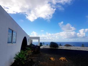 MAGNIFICENT RURAL ONE BEDROOM APARTMENT BY THE SEA, Los Llanillos - El Hierro