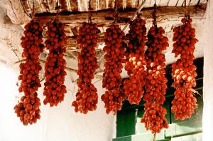 Agriturismo La Pergola