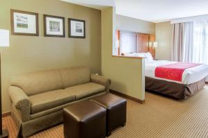 Comfort Suites Wytheville near Conference Center