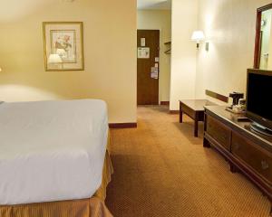 King Room - Non-Smoking room in Quality Inn North