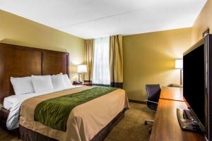 King Room - Disability Access/Non-Smoking room in Comfort Inn Newport News Williamsburg East