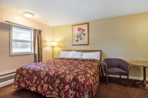 Standard King Room room in Rodeway Inn - Bellows Falls