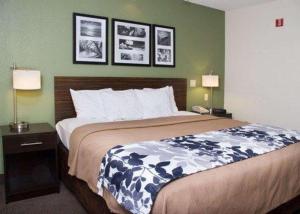 King Room - Non-Smoking room in Sleep Inn Pasco Tri -Cities