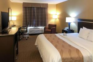 King Room - Non-Smoking room in Quality Inn & Suites Sun Prairie Madison East