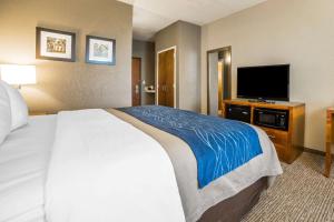 King Room - Non-Smoking room in Comfort Inn & Suites Cheyenne