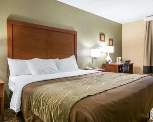 Comfort Inn Winchester