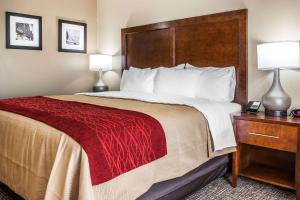 Comfort Inn & Suites Mount Sterling