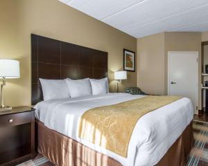 King Room - Non-Smoking room in Comfort Suites Kenner