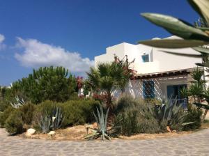 Cosy House Paros Greece