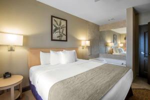One-Bedroom Suite room in Bluegreen Vacations Odyssey Dells Resort