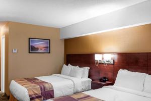 Quality Hotel & Suites