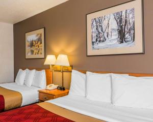 Queen Room with Two Queen Beds - Non-Smoking room in Econo Lodge Pagosa Springs