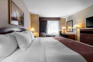 King Room - Non-Smoking room in Quality Inn Burlington