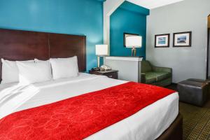 King Suite - Disability Access/Non-Smoking room in Comfort Suites Tampa/Brandon