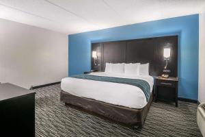King Room - Non-Smoking (No Pets Allowed) room in Comfort Inn University Gainesville