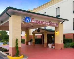 Comfort Suites Cumming-Atlanta near Northside Hospital Forsyth - 卡明