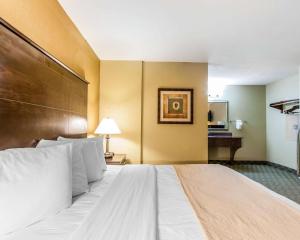 King Room - Non-Smoking room in Quality Inn & Suites Bremen