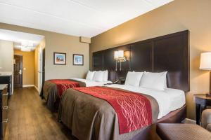 Comfort Inn & Suites near Six Flags