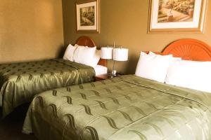 Queen Room with Two Queen Beds - Non-Smoking room in Quality Inn & Suites Lincoln near I-55
