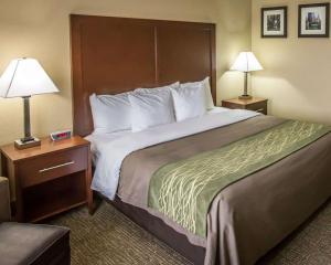 King Room - Non-Smoking room in Comfort Inn Morris I-80