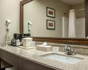 King Room - Non-Smoking room in Quality Inn & Suites near St Louis and I-255