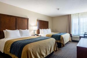 Queen Room with Two Queen Beds - Disability Access/Non-Smoking room in Comfort Inn Edwardsville - St. Louis