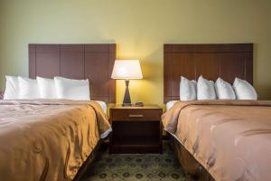 Queen Room with Two Queen Beds - Non-Smoking room in Quality Inn & Suites Bloomington I-55 and I-74