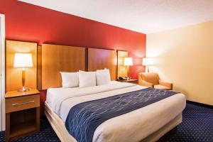 Queen Room - Accessible/Nonsmoking room in Comfort Inn Washington DC Joint Andrews AFB
