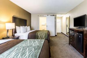 Double Room with Two Double Beds - Non-Smoking room in Comfort Inn Downtown Detroit