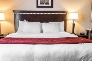  Efficiency King Suite with Fireplace- Non-Smoking room in Comfort Suites Canton