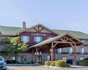 Comfort Inn Owatonna near Medical Center - Mankato