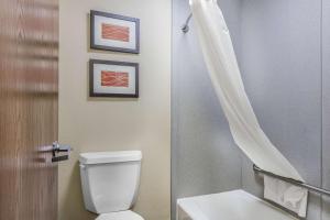 2 Queen Beds, 2 - Person Sofabed room in Comfort Inn & Suites Crystal Inn Sportsplex Gulfport