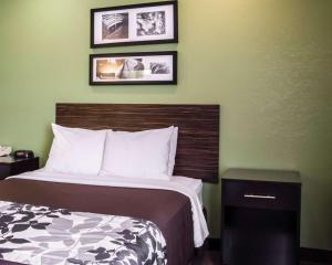 Queen Room with Roll-In Shower - Accessible/Non-Smoking room in Sleep Inn Concord / Kannapolis
