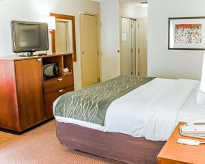 King Room - Non-Smoking room in Comfort Inn Near Fort Bragg