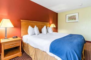King Room - Non-Smoking room in Rodeway Inn & Suites Jacksonville near Camp Lejeune