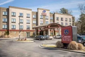 Comfort Suites New Bern near Cherry Point - 新伯尔尼