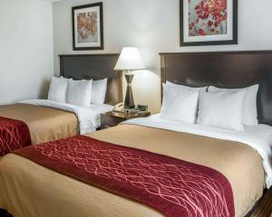 Queen Room with Two Queen Beds - Non-Smoking room in Quality Inn & Suites Farmington