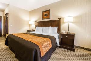 King Room - Non-Smoking room in Comfort Inn & Suites Henderson - Las Vegas