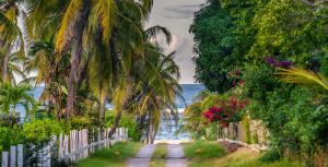 Nisbet Plantation, St James Parish, Nevis, St Kitts & Nevis.