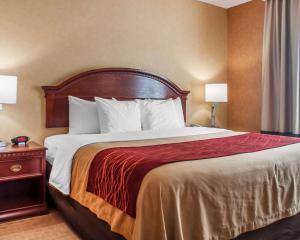 Comfort Inn Near Walden Galleria Mall Cheektowaga Cheektowaga