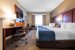 Comfort Suites Rochester Henrietta University Area