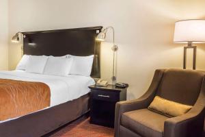 King Room - Disability Access room in Comfort Inn & Suites LaGuardia Airport