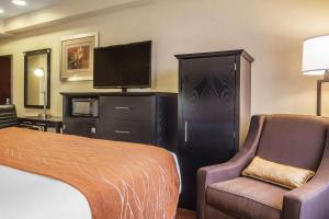 Suite with King Bed room in Comfort Inn & Suites LaGuardia Airport